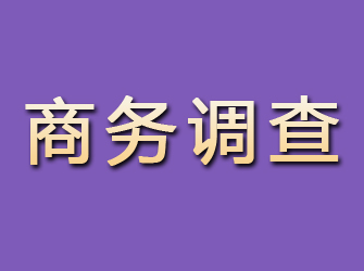 隆林商务调查